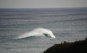 Java Surf Safari